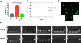 The resistance to Toxoplasma gondii in Microtus fortis is associated with the activation of the complement lectin pathway