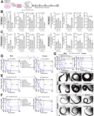 Host-specific platelet-activating factor acetylhydrolase selectively remodels diacylglycerophospholipids to control schistosome development