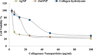 Optimized collagenase biosynthesis (Bacillus siamensis strain Z1) and its application in collagen hydrolysate-mediated silver and zinc oxide nanoparticles synthesis and characterization with antibacterial, antioxidant and cytotoxic activities