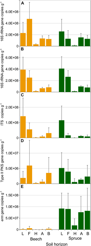 Tree species influence soil carbon quality but not total storage across horizons: European beech on Dystric Cambisol and Norway spruce on Entic Podzol