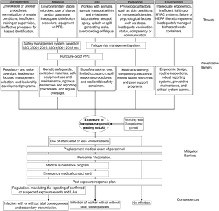 Integrating design-of-experiments (DOE) optimization and risk assessment towards a safe and simplified electroporation protocol for Toxoplasma gondii