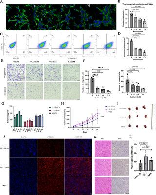 Integrated computational and experimental analysis explores FOLH1 expression patterns across cancers and nominates melatonin as a potential modulator in prostate cancer models