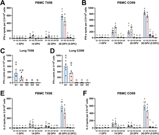 Pigs lacking Natural Killer T cells have altered cellular responses to influenza