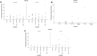 The impact of cannabidiol (CBD) in hyperglycemic zebrafish (Danio rerio)