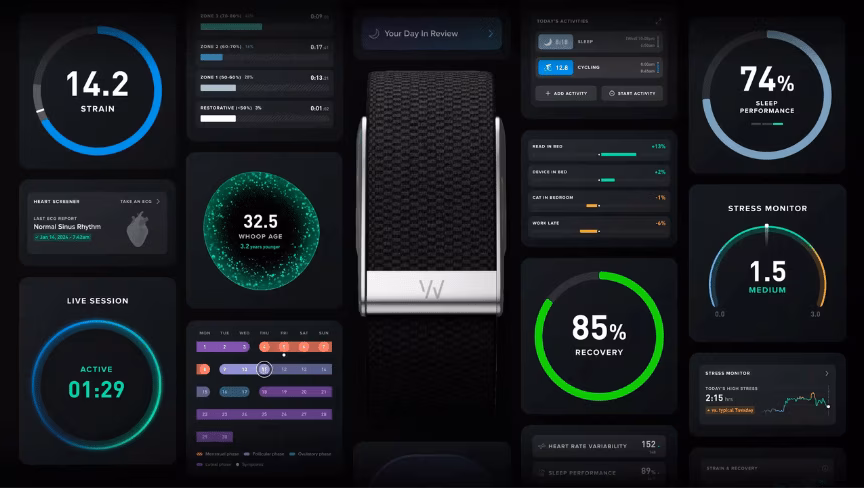 Google built a 99 dollar AI health coach. Whoop responded with real doctors.