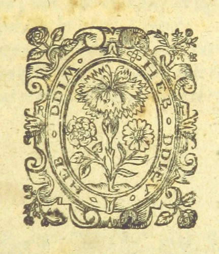 Woman killed in violent crash involving semi-truck in west Phoenix - AZ Family