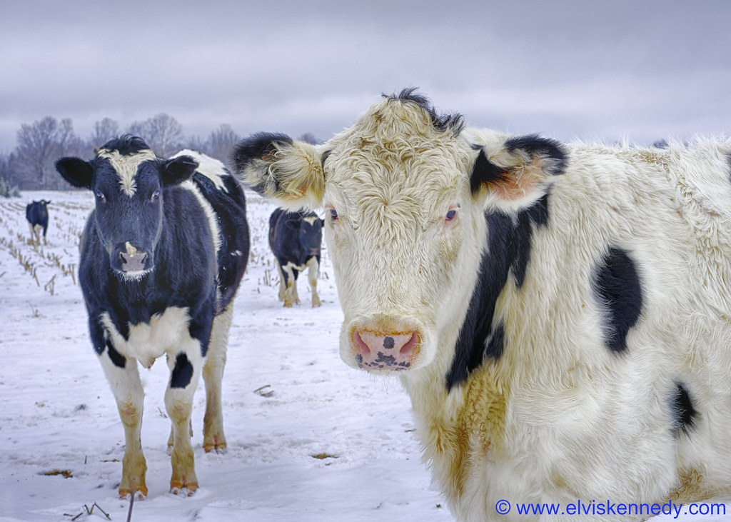 How Kennedy Is Trying to Revamp Medical School - The New York Times