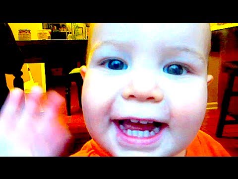 Google scraps AI search feature that crowdsourced amateur medical advice - The Guardian