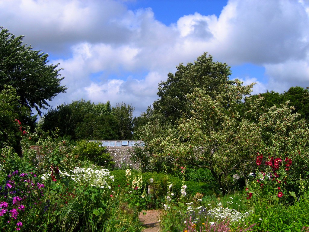 Sister describes shooting death of Phoenix mother over minor car accident - AZ Family