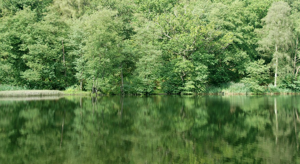 Historic heat wave on the way to Phoenix - AZ Family