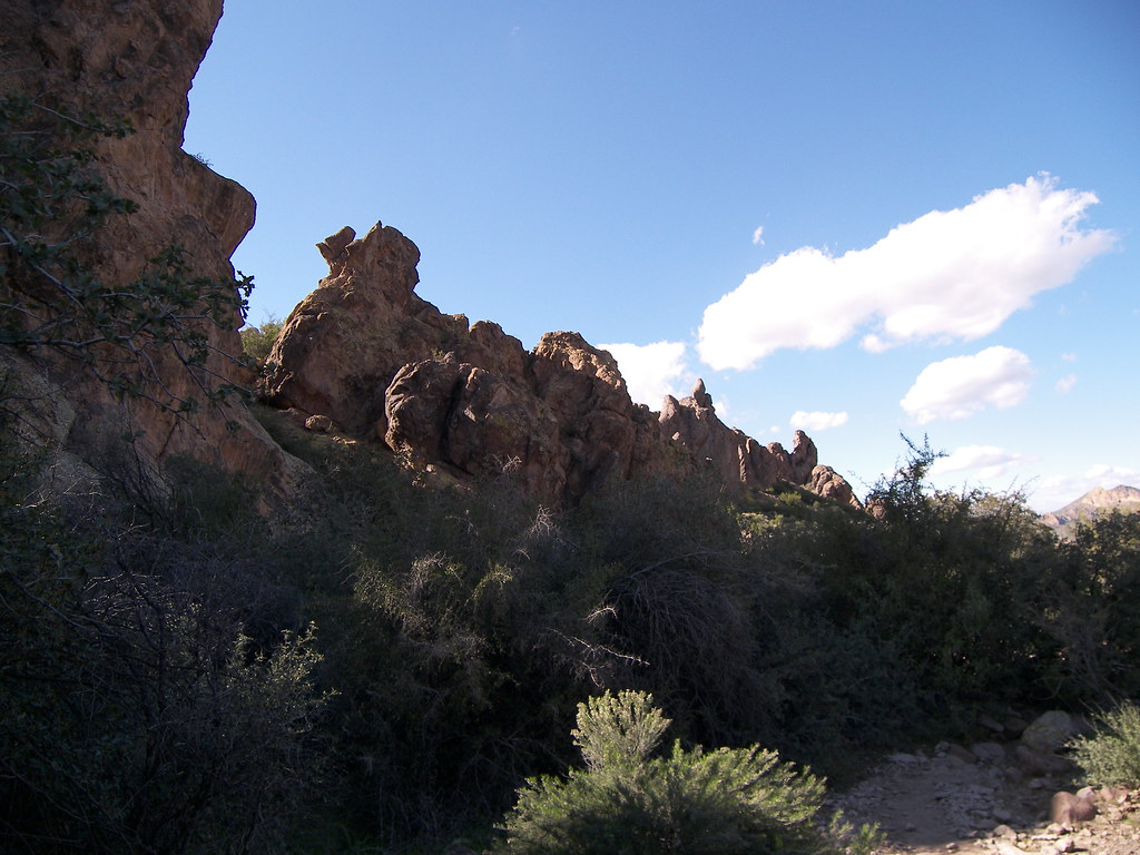 Phoenix In Hunt At Surf Club Invitational - Elon University Athletics