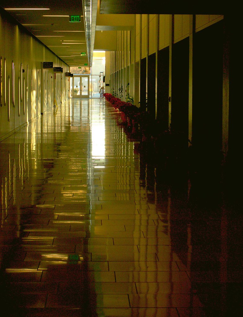 How long are TSA lines at Phoenix Sky Harbor airport? See wait times - The Arizona Republic