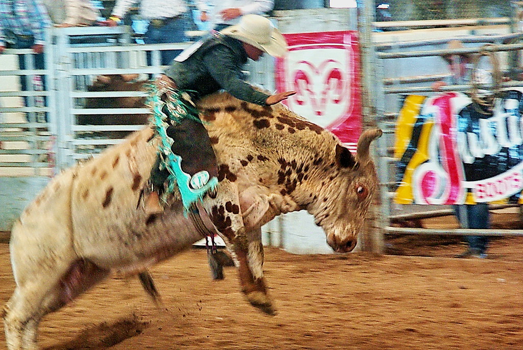 Phoenix Downs Tarleton State In Weekend Finale - Elon University Athletics