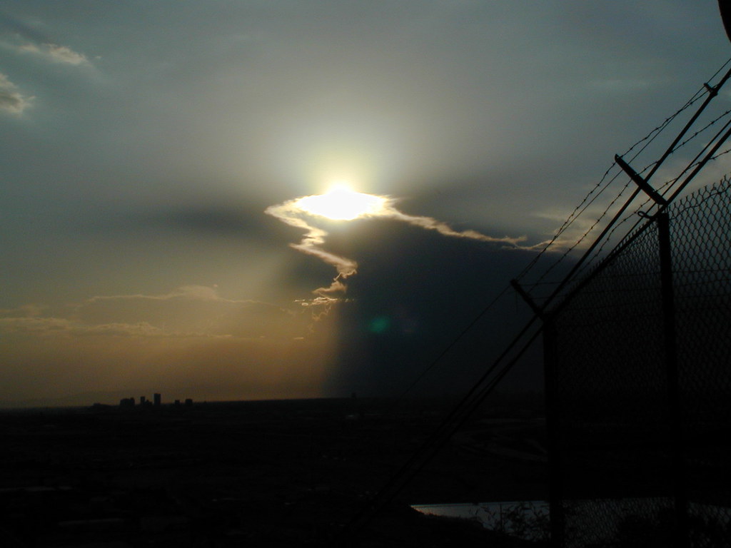 Phoenix Downs Tarleton State In Weekend Finale - Elon University Athletics