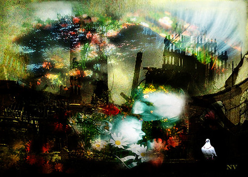 Nebraska left off congressional medical cannabis protections prohibiting DOJ interference - Nebraska Examiner