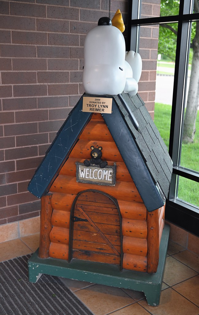 Minnesota emergency room doctor served as medical consultant for 'The Pitt' - MPR News