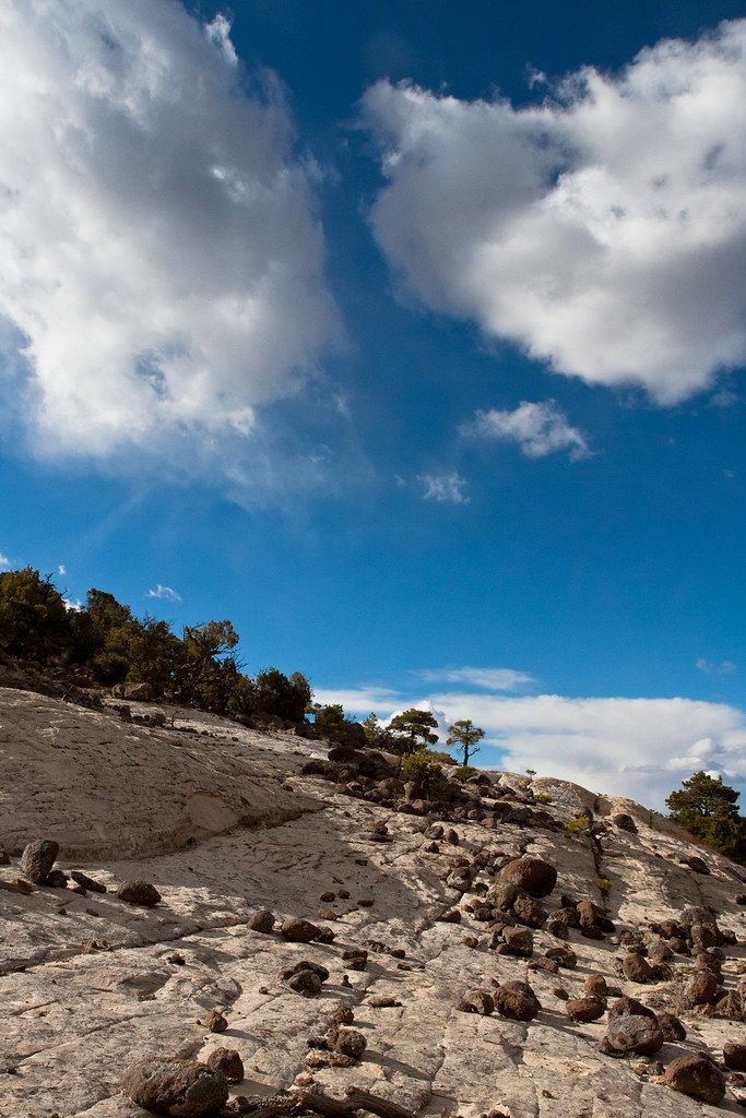 2 men shot outside strip mall in north Phoenix - AZ Family