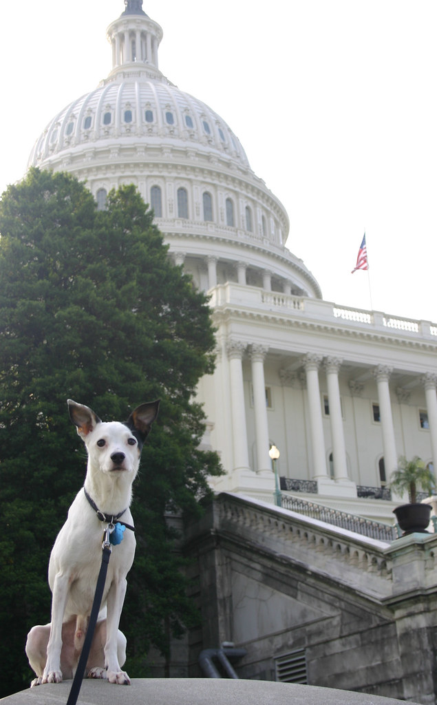 Senate Judiciary Committee passes New Mexico medical malpractice overhaul 8-1 - Source New Mexico