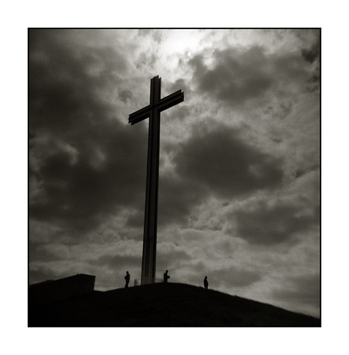 Phoenix Edged By Tigers On Road - Elon University Athletics