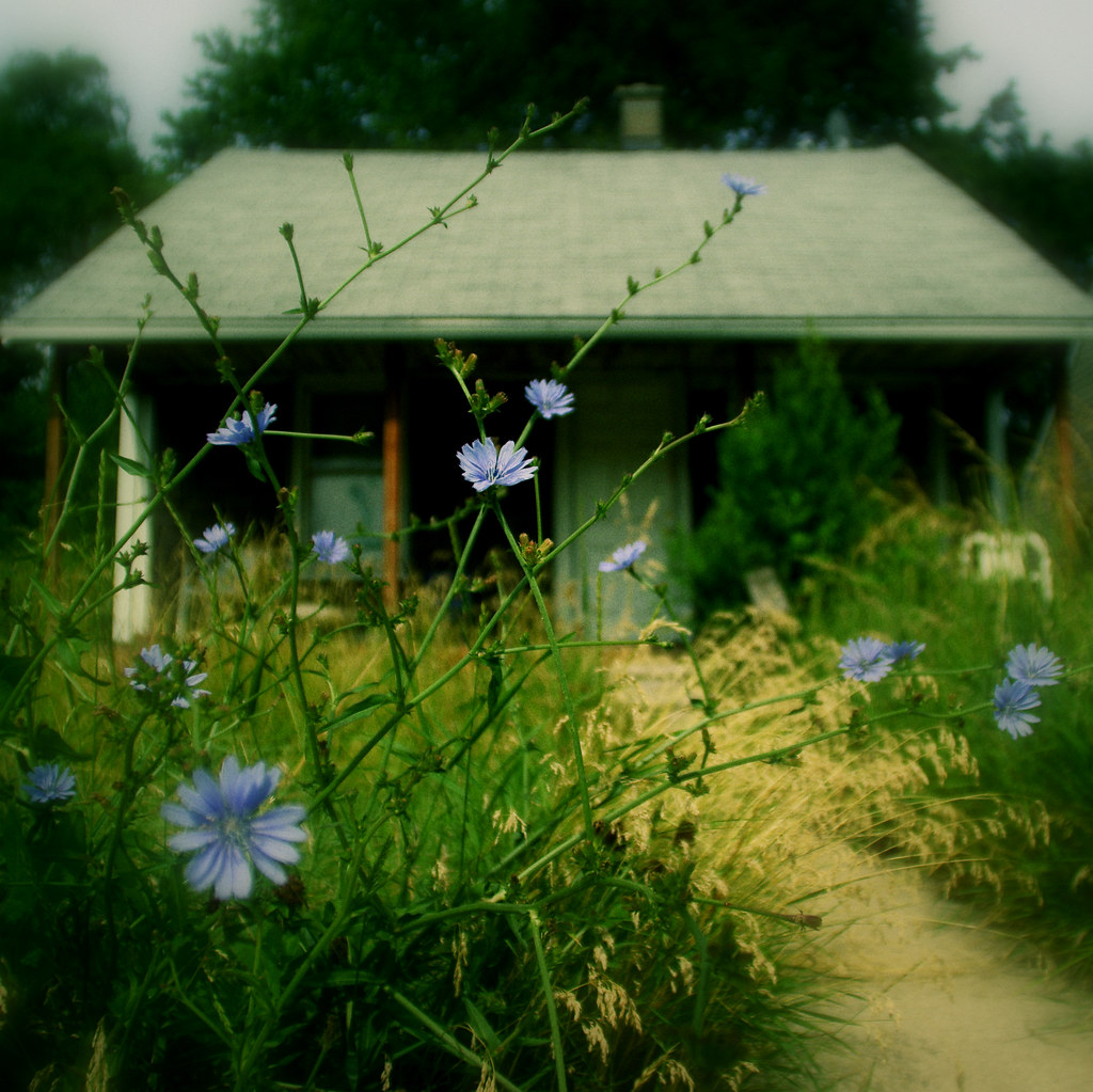 These 2 investors are seeking to take over control of the Phoenix Suns - The Arizona Republic