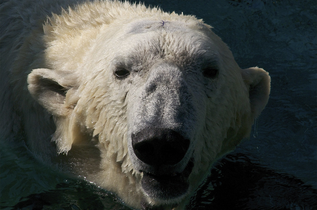 RFK Jr. pushes medical schools to teach more about nutrition - NBC News