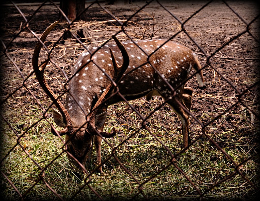 Panthers Find A Way To Take Down Phoenix Late, 75-72 - Milwaukee Athletics