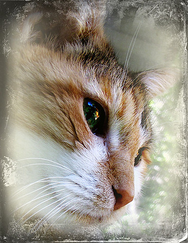 New look for AMA Profiles Hub: For physicians - American Medical Association