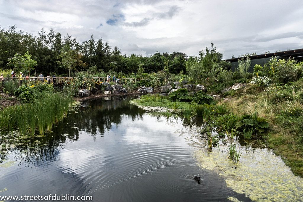 Phoenix Set For Pair Of Home Games - Elon University Athletics