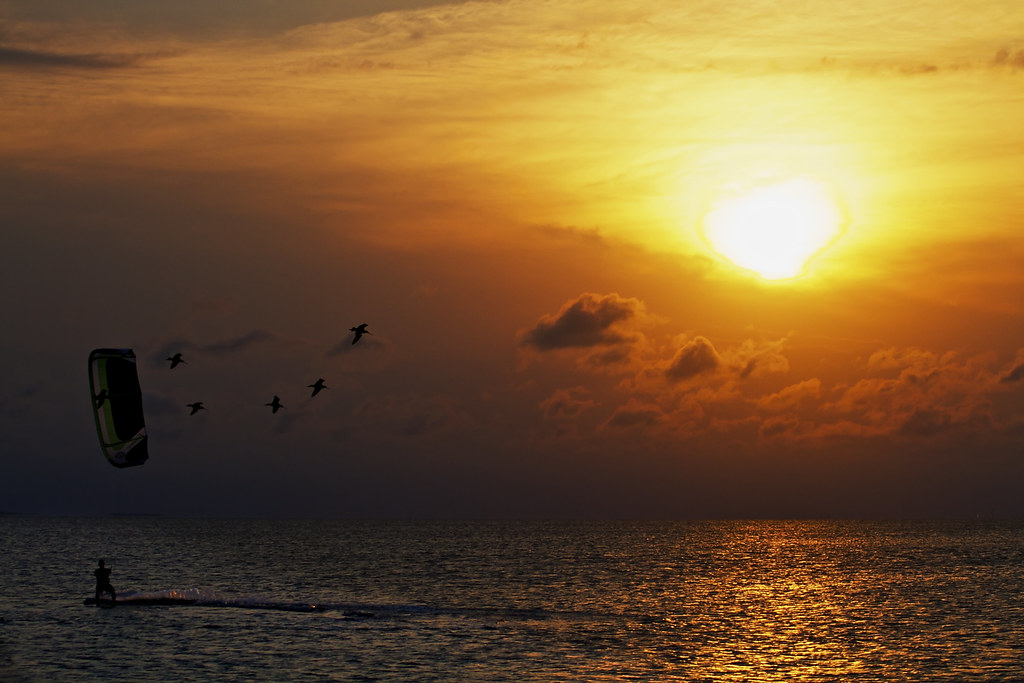 Pacific’s plan to launch medical school backed by Stockton City Council - The Stockton Record