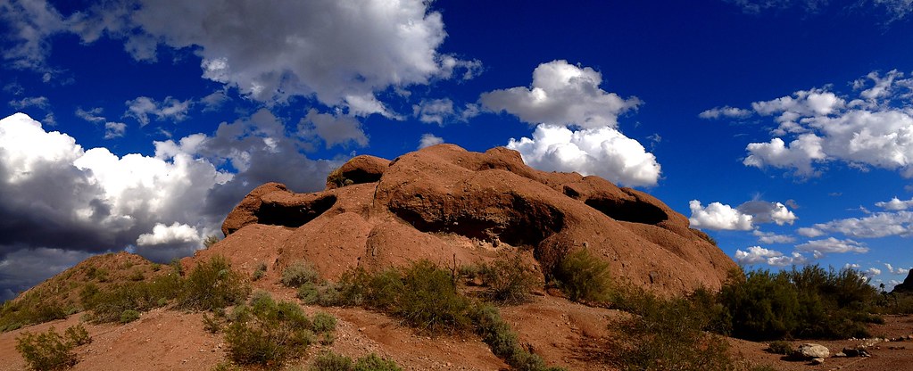 Phoenix Caught Late By Dragons - Elon University Athletics