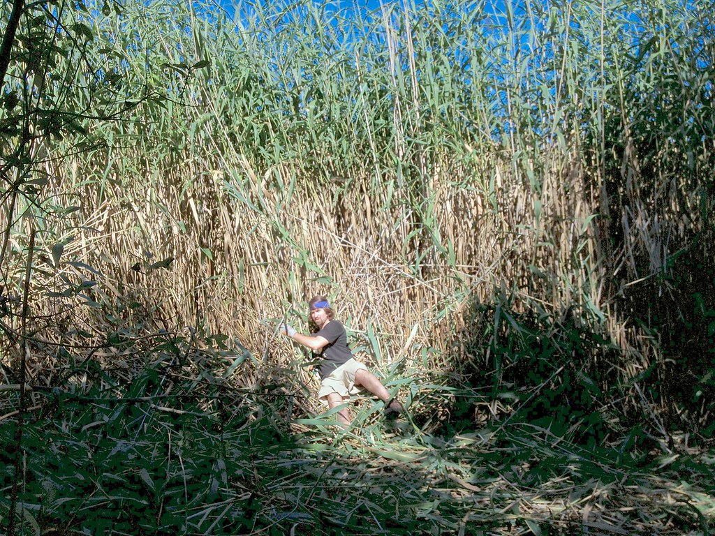 Portland Trail Blazers Smother Phoenix Suns - Blazer's Edge