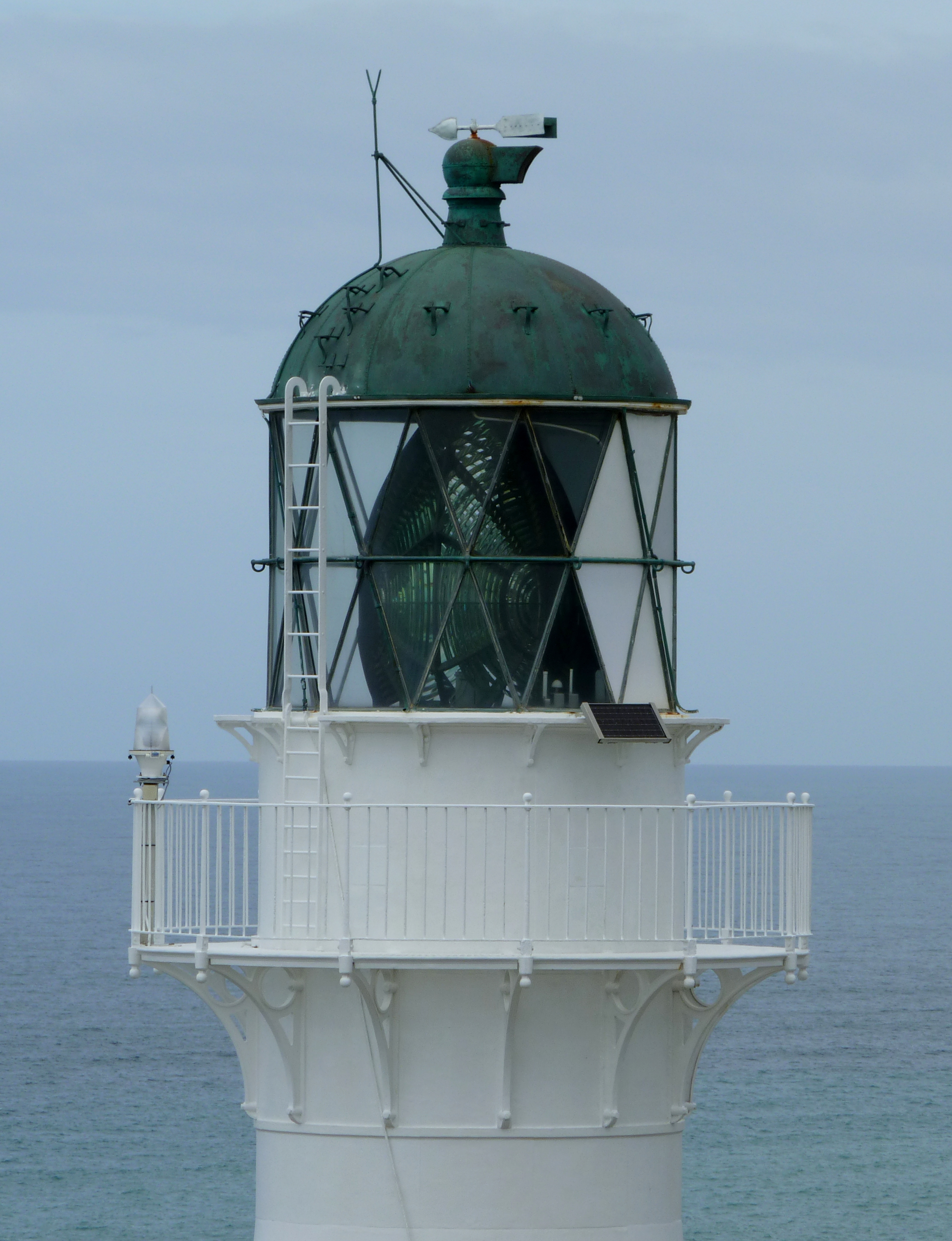 Wellington Regional Medical Center : Five Weeks of Hope - Florida Hospital News and Healthcare Report