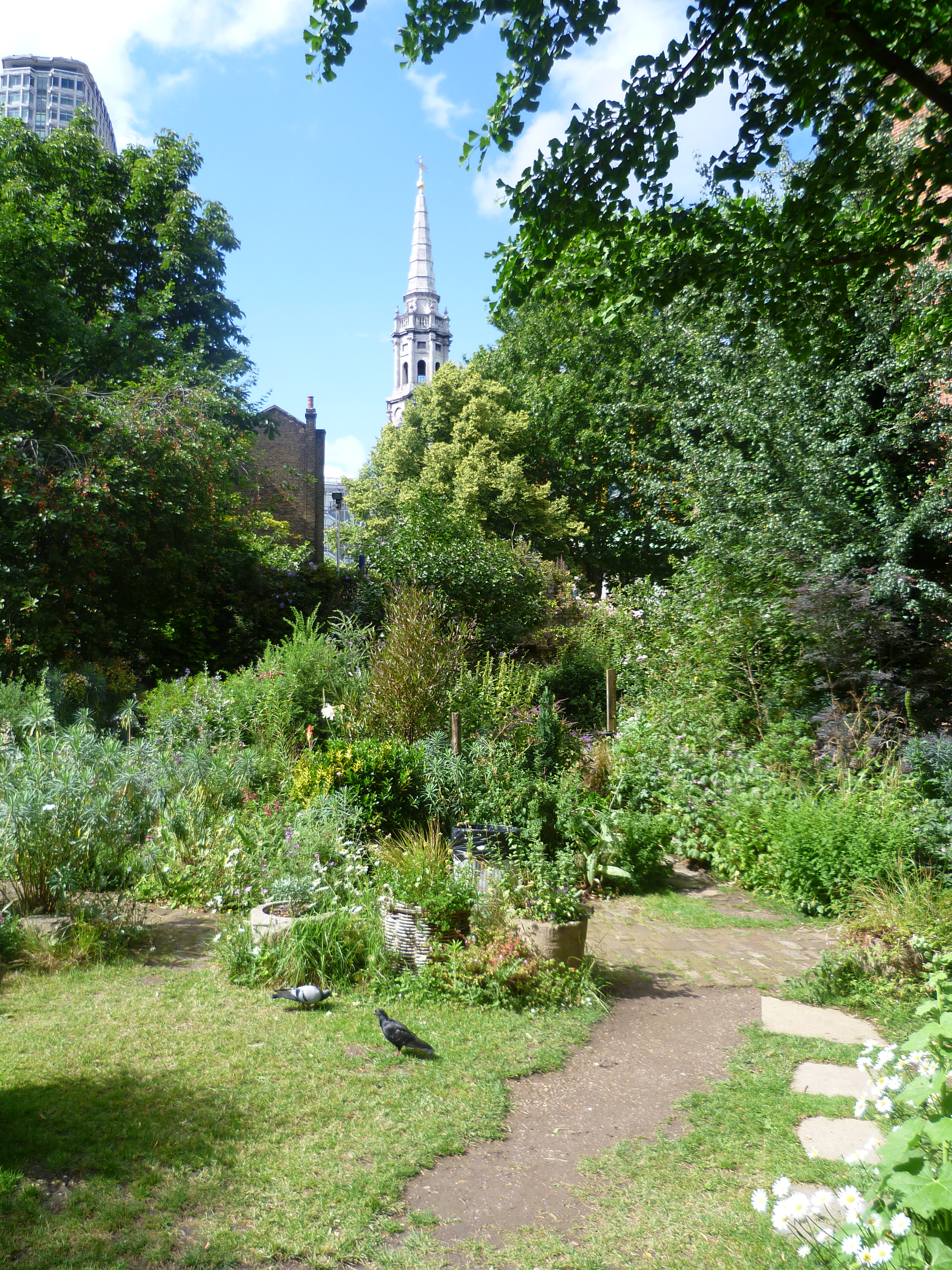 Inside The Phoenix Suns’ Improbable Bounce Back Season - Forbes