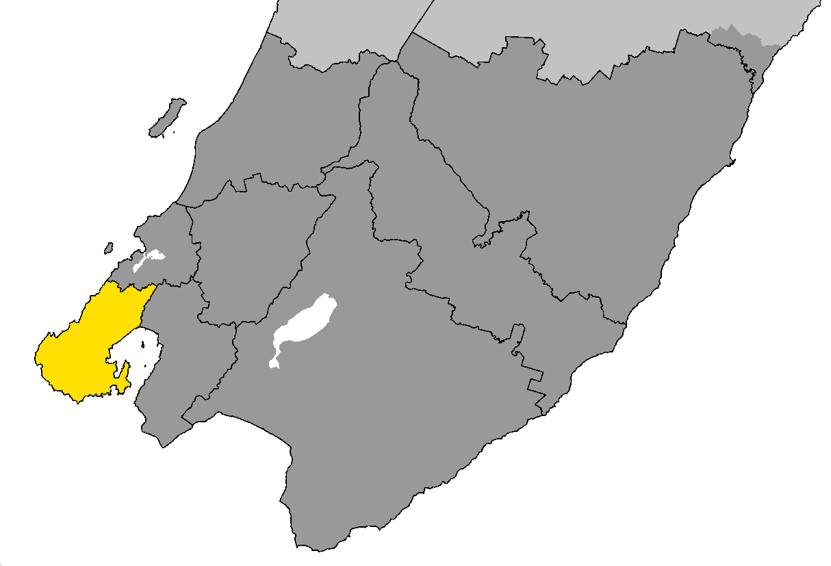 Wellington Regional Medical Center : Five Weeks of Hope - Florida Hospital News and Healthcare Report