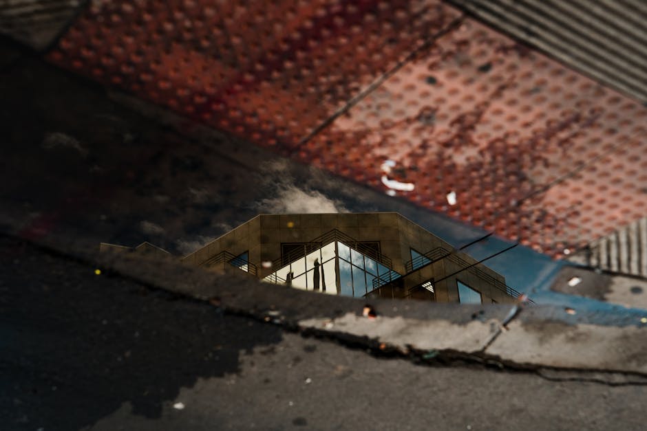 Is TSA PreCheck suspended in Phoenix during DHS shutdown? What we know - The Arizona Republic