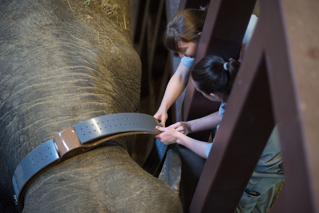 Industry Leaders Weigh In On Zillow's Coming-Soon Push - Inman Real Estate News