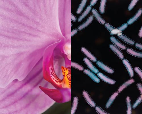 Wellness culture is trying to sell you products your vagina doesn’t need