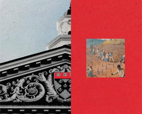 Why are Harvard’s slavery researchers quitting or being fired?