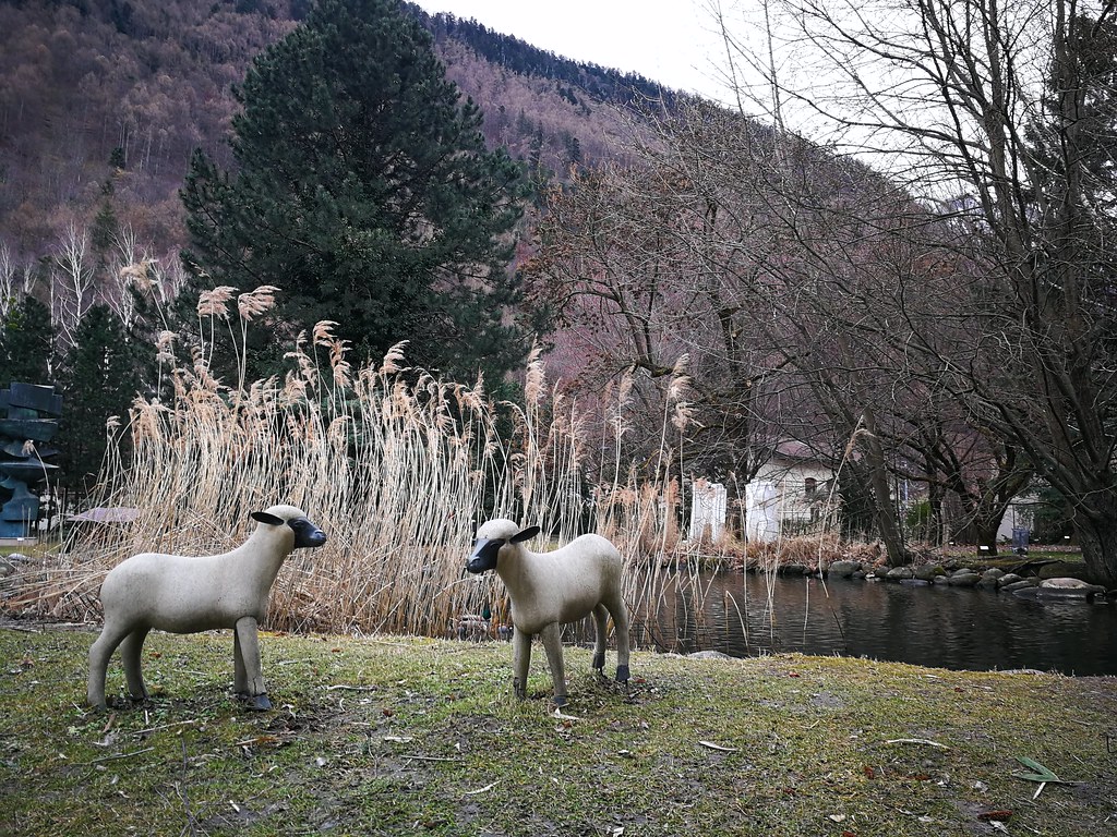 Michael Shvo Just Lost His Most Prized Real-Estate Trophy - Curbed