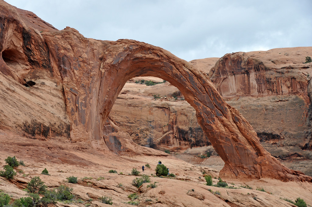 Sand bar: Corona queen selling $25M Bahamas estate - New York Post