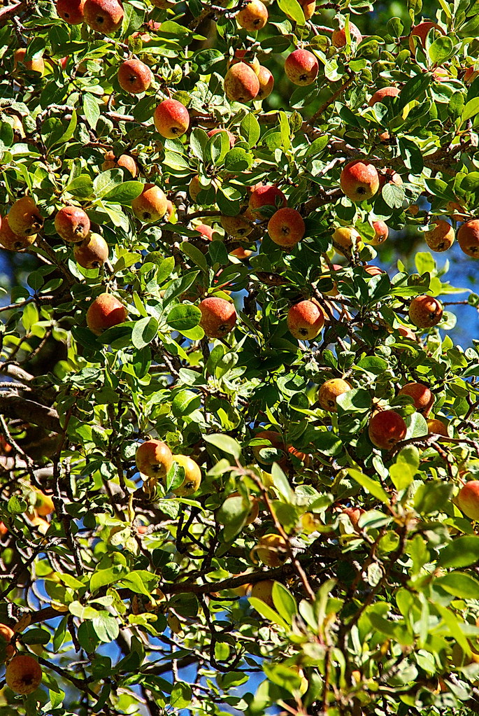 Buy, Sell or Stay: Here Are the Best Real Estate Strategies for 2026 - TODAY.com