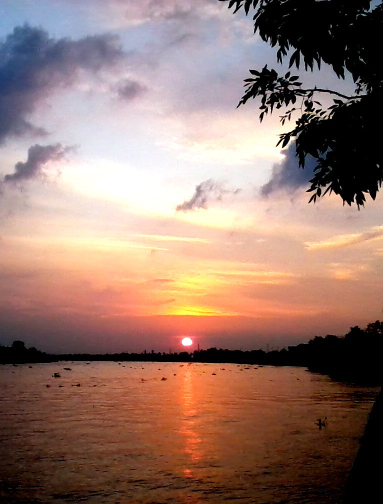 ‘My Client Walked Out Within Minutes.’ How AI Is Tanking Home Sales. - Realtor.com