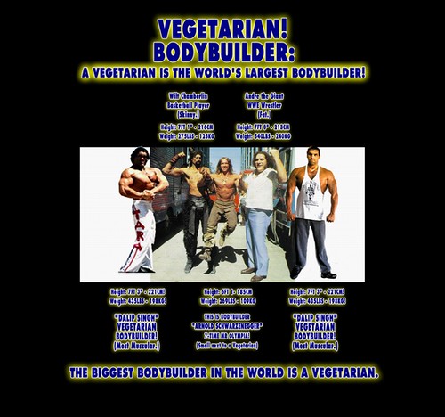 Meat-Based Nutrition Writer to Sell Maryland Home With a 360-Year-Old Kitchen - Mansion Global