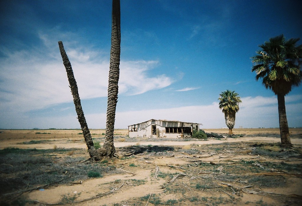 Why Production Has Been Halted on ‘Selling the OC’ - Cosmopolitan